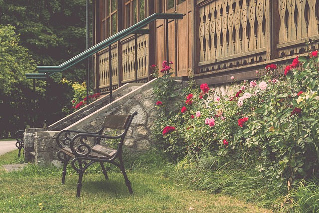 的新欧文形 的新欧文形